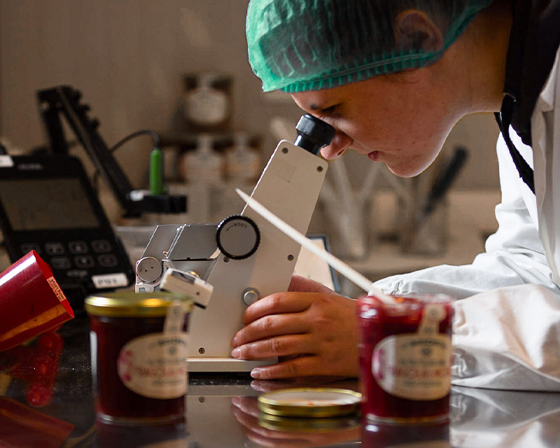 Tecnico di laboratorio che analizza al microscopio le confetture appena realizzate